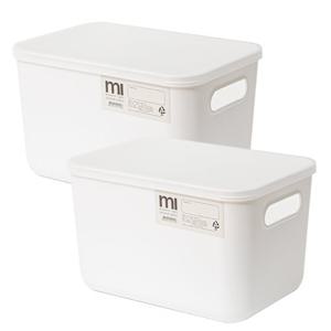 [가담다] ML 수납정리 리빙박스 S 1+1 총 2개