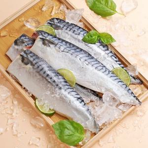 노르웨이 고등어 180-210g x 10팩 단 한번얼린 노르웨이 왕특대고등어