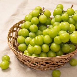 [과일꾼] 에어셀 안전포장 고당도 샤인머스켓 특등급 프리미엄 2.3kg(3수)