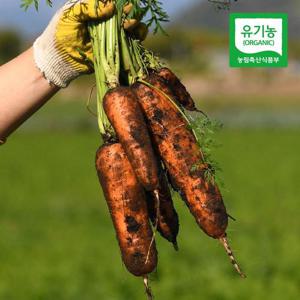 제주 모슬포 유기농 제주 당근(중/즙용)10kg