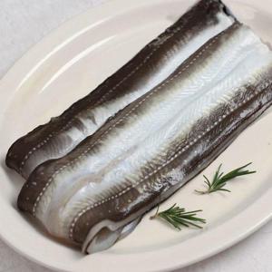 [근해통발수협] 프리미엄 자연산 바다장어 240g(3미) x 4팩 / 소스(매운맛4,순한맛4)