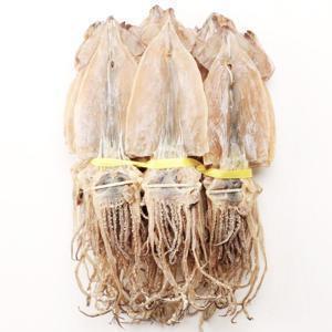 동해안 당일바리 마른오징어 10미(400g내외)건오징어/안주