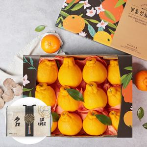 [부직포가방포장]제주 한라봉 2.6kg 12-14과 과일선물세트