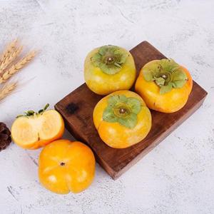 [감동 단감]햇 단감 2kg 특대과 9-10과