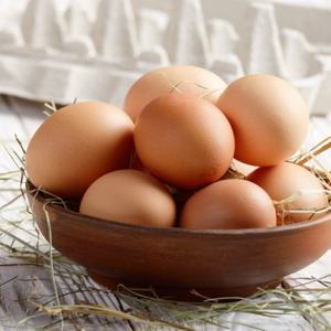 무항생제 특란 60구 계란 달걀