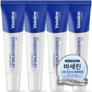메르헨트 바세린 모이스처 립에센스 10ml x 4구 립밤 립케어 립크림 보습 케어 무색 대용량