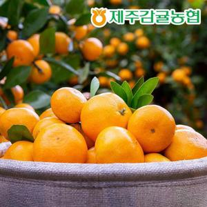 [제주바람] 제주농협 직송 제주 하우스감귤 2.5kg (2S~M/23~47과)