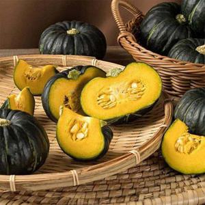 갤러리아_포슬포슬 해남 미니밤호박 2kg