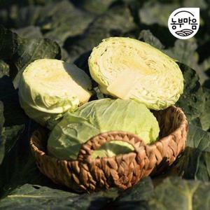 갤러리아_[친환경인증]제주 유기농 양배추 3kg(2-3통)