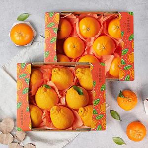 한라봉1.6kg 6-9과+천혜향1.6kg 6-9과 과일선물세트