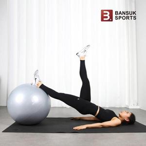스타일 짐볼 75cm 운동책자증정 다이어트 코어운동 요가 필라테스 밸런스