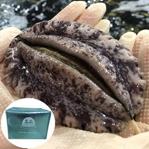 해신수산 완도활전복 특특大 최 고 급선물세트 12마리 1340g/고급선물포장