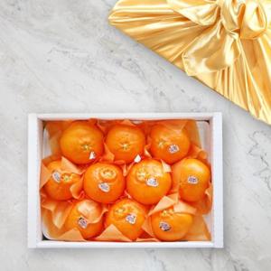 Fresh 명절 설날 추석 제주 레드향 과일 선물세트 5kg 15-18과