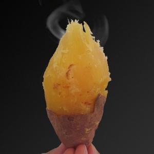 초록초록팜 해남 황토 달달 촉촉 햇 꿀 밤 고구마 2kg (한입)