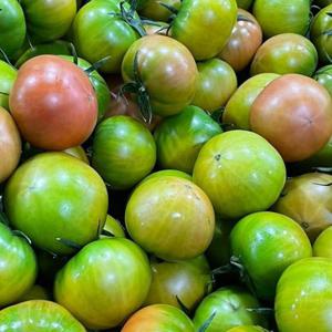 국내산 못난이 대저 토마토 2.5kg 사이즈혼합