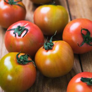 첫 출하! 단짠단짠 대저토마토 2.5kg 대과(L-2L)