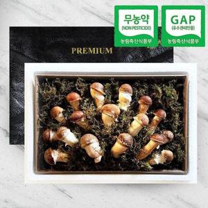 갤러리아_[웰굿]무농약GAP 참송이버섯 선물세트 명품1호(300g,부직포가방)