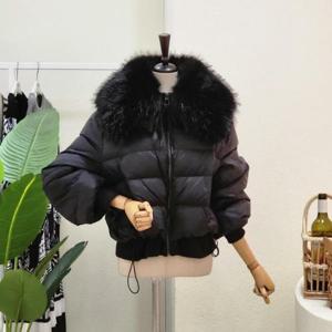 [포커스][대구백화점SG]  FW3J7JP02593_라쿤 포인트 숏 다운 점퍼