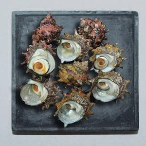 [푸디앤] 자연산 뿔소라 1kg(6-12미)