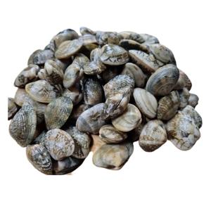 [푸디앤] 고창 하전마을 참바지락 5kg-17kg /해수세척 및 해감, 2차 선별 및 재해감 / 대형업소 납품중