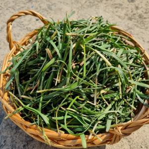 [푸디앤 ] 통영 초벌 부추 300g