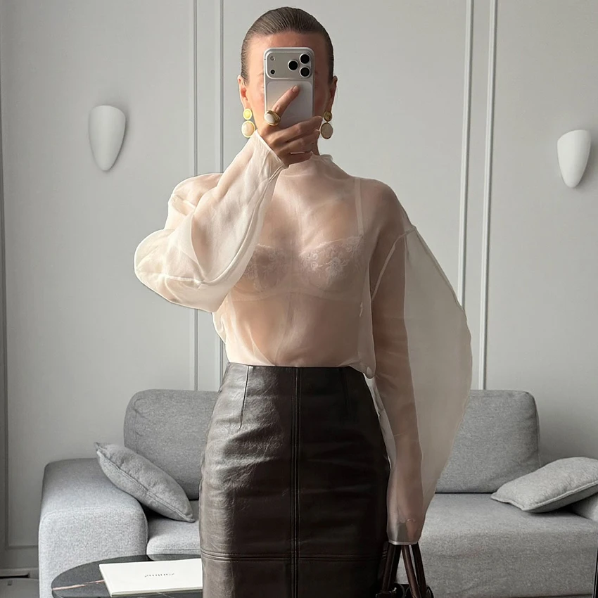 리나드 엘레강트 브라운 메쉬 O넥 블라우스 여성 2025 섹시한 살구색 시스루 셔츠 여성 가을 스트릿 시크 루즈 롱 슬리브 탑 신상