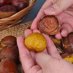 25년(햇)포르단밤 특 1kg~ 무칼집 햇밤 생율 속이꽉찬 100% 홀라당 까지는 밤