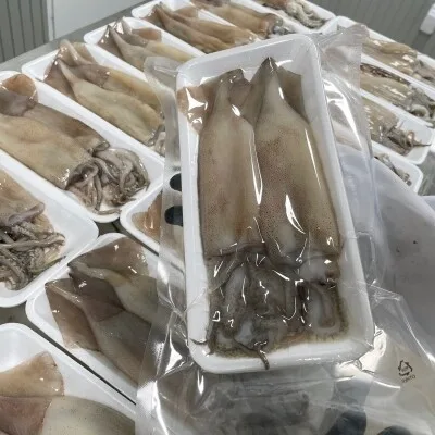 [사계별미] 국내가공 간편한 손질 오징어