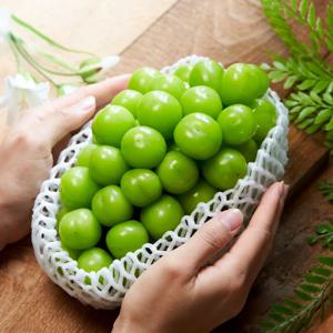 당도선별 고당도 샤인머스켓 프리미엄 특품 수출용