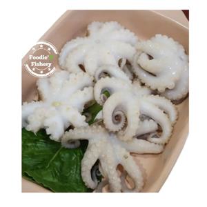 [푸디앤] 대왕 선동 급냉 쭈꾸미 1kg /중국산/쭈꾸미는 커야 제맛!