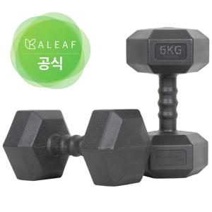 아이워너 맨즈 육각 아령 덤벨 2~10kg 2개 세트 중량 운동용 헬스 웨이트 피트니스 장비