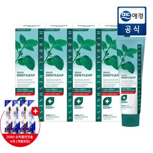 ★압도적쿨링감★덴티리프 고불소 맥스후레쉬 구취케어 치약 120gx4입 + 칫솔 4개 증정