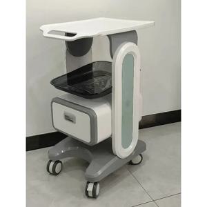 전문 미용실 트롤리 미용 롤링 카트 스테인리스 스틸 핸드카트 오거나이저 뷰티 상업용 가구