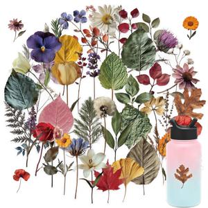 50개 귀여운 식물 투명 스티커 식물 표본 데칼 휴대폰 케이스 노트북 스케이트보드 오토바이 스티커 장난감