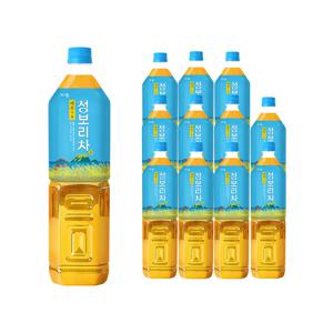 제주의 봄 청보리차 1.5L X 12페트