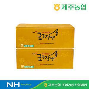 제주 귤로장생 레드향 2kg + 2kg