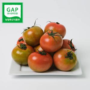 GAP인증 산지직송 대저 토마토 1kg/2.5kg 골라담기