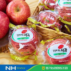 껍질째 먹는 안심사과 TCOM