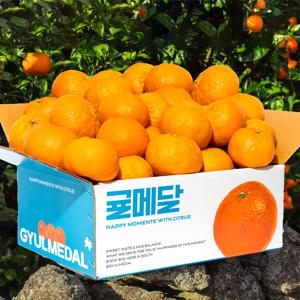 [강주은 PICK] 제주 윈터프린스 프리미엄 특품 귤메달 3kg / 6kg