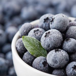 프리미엄 냉동 블루베리 1kg 2kg