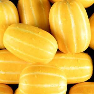 경북 성주 벌꿀 참외 국내산