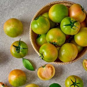 단짠단짠 부산 대저 토마토 2.5kg 외 짭짤이토마토