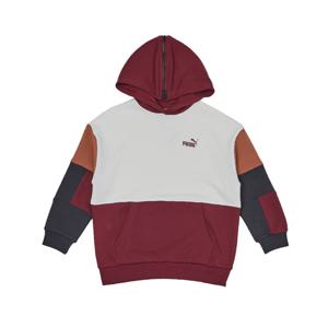 푸마 코어 미니로고 블럭 후드티 940394-01