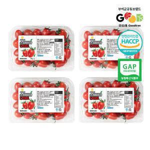 (신선집중) 스테비아 토마토 단마토(빨강) 500gx4팩(4번과/가정용 소과)