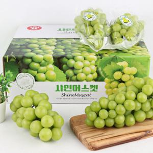 (신선집중) 당도보장 18birx내외 영천 노지 샤인머스캣 2KG 왕특품 (2송이 개당 1KG 내외)