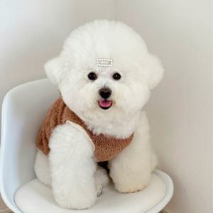 (1+1) 애견 강아지 겨울 조끼 곰돌이 뽀글이 소형견 옷
