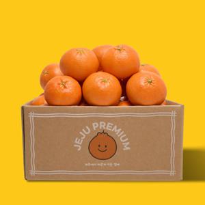 더모닝제주 레드향 가정용 1.8kg 제주 설날 명절 선물세트 산지직송