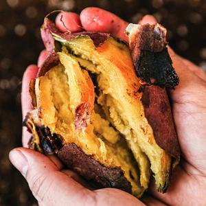 (신선집중) 고창 김민상님의 황토밭 햇 꿀밤고구마 5kg 특상 / 25년 햇고구마