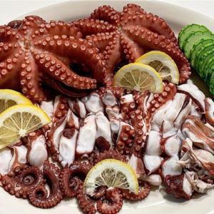 완벽손질 세척문어 참문어 2마리 (손질전 총 1600g)