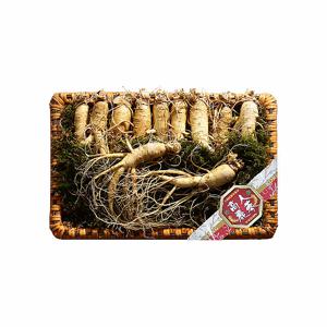 명절선물 고려인삼 삼 금산 인삼 수삼 특2호 750g 9-11편 어르신선물